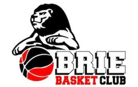 BRIE BASKET CLUB
